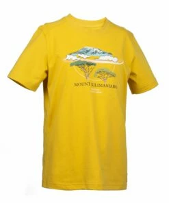 QUECHUA BOY&rsquo;S T-SHIRT MH100 TW Yellow Honey/YELLOW