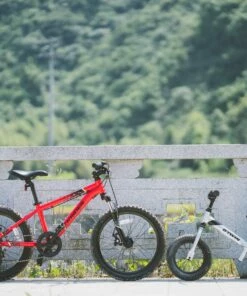 BTWIN 20" ST 900 Kid MTB Aluminium Unique size 35 BTWIN 20" ST 900 Kid MTB Aluminium Unique size -Artengo Kids Online Store ka5eebc5b759bcea155ded93f424d7956 scaled